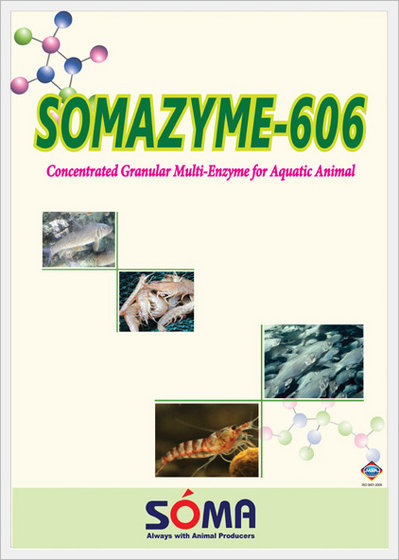 Somazyme - 606  Made in Korea
